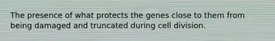 The presence of what protects the genes close to them from being damaged and truncated during cell division.