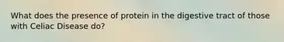 What does the presence of protein in the digestive tract of those with Celiac Disease do?