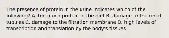 The presence of protein in the urine indicates which of the following? A. too much protein in the diet B. damage to the renal tubules C. damage to the filtration membrane D. high levels of transcription and translation by the body's tissues