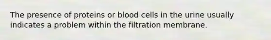 The presence of proteins or blood cells in the urine usually indicates a problem within the filtration membrane.