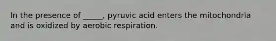 In the presence of _____, pyruvic acid enters the mitochondria and is oxidized by aerobic respiration.