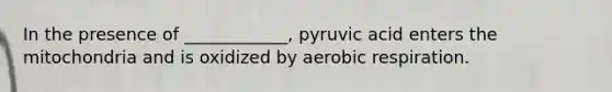 In the presence of ____________, pyruvic acid enters the mitochondria and is oxidized by aerobic respiration.