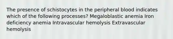 The presence of schistocytes in the peripheral blood indicates which of the following processes? Megaloblastic anemia Iron deficiency anemia Intravascular hemolysis Extravascular hemolysis