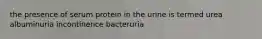 the presence of serum protein in the urine is termed urea albuminuria incontinence bacteruria