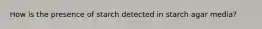 How is the presence of starch detected in starch agar media?