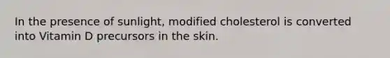 In the presence of sunlight, modified cholesterol is converted into Vitamin D precursors in the skin.