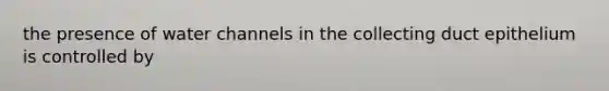 the presence of water channels in the collecting duct epithelium is controlled by