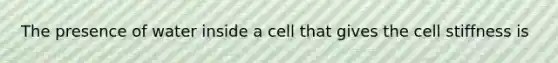 The presence of water inside a cell that gives the cell stiffness is