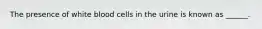 The presence of white blood cells in the urine is known as ______.