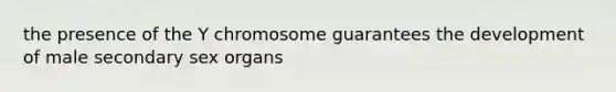 the presence of the Y chromosome guarantees the development of male secondary sex organs