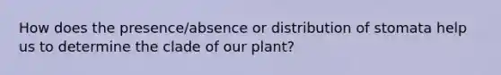 How does the presence/absence or distribution of stomata help us to determine the clade of our plant?