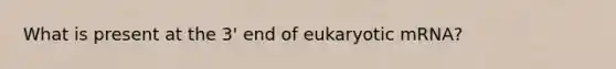 What is present at the 3' end of eukaryotic mRNA?