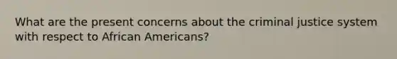 What are the present concerns about the criminal justice system with respect to African Americans?