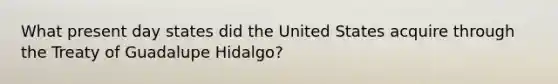 What present day states did the United States acquire through the Treaty of Guadalupe Hidalgo?