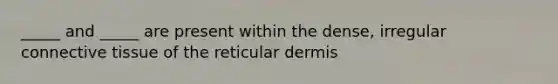 _____ and _____ are present within the dense, irregular connective tissue of the reticular dermis