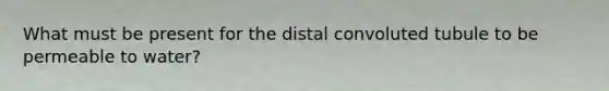 What must be present for the distal convoluted tubule to be permeable to water?