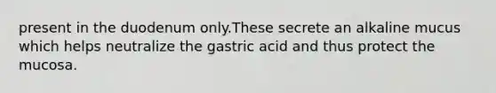 present in the duodenum only.These secrete an alkaline mucus which helps neutralize the gastric acid and thus protect the mucosa.