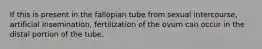 If this is present in the fallopian tube from sexual intercourse, artificial insemination, fertilization of the ovum can occur in the distal portion of the tube.