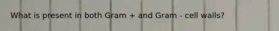 What is present in both Gram + and Gram - cell walls?