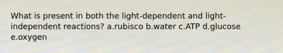 What is present in both the light-dependent and light-independent reactions? a.rubisco b.water c.ATP d.glucose e.oxygen