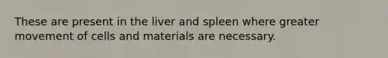 These are present in the liver and spleen where greater movement of cells and materials are necessary.