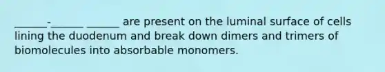 ______-______ ______ are present on the luminal surface of cells lining the duodenum and break down dimers and trimers of biomolecules into absorbable monomers.