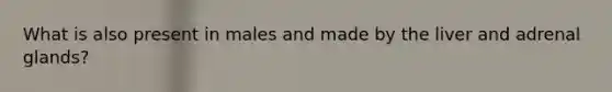 What is also present in males and made by the liver and adrenal glands?