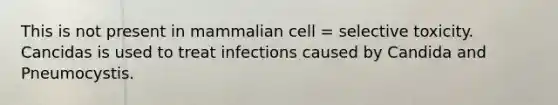 This is not present in mammalian cell = selective toxicity. Cancidas is used to treat infections caused by Candida and Pneumocystis.