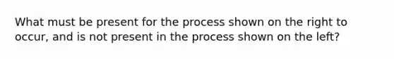 What must be present for the process shown on the right to occur, and is not present in the process shown on the left?