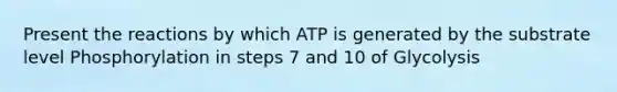 Present the reactions by which ATP is generated by the substrate level Phosphorylation in steps 7 and 10 of Glycolysis