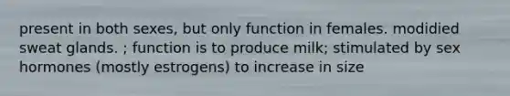 present in both sexes, but only function in females. modidied sweat glands. ; function is to produce milk; stimulated by sex hormones (mostly estrogens) to increase in size