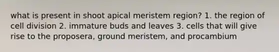 what is present in shoot apical meristem region? 1. the region of cell division 2. immature buds and leaves 3. cells that will give rise to the proposera, ground meristem, and procambium