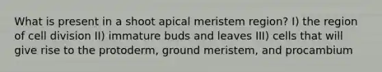 What is present in a shoot apical meristem region? I) the region of <a href='https://www.questionai.com/knowledge/kjHVAH8Me4-cell-division' class='anchor-knowledge'>cell division</a> II) immature buds and leaves III) cells that will give rise to the protoderm, ground meristem, and procambium