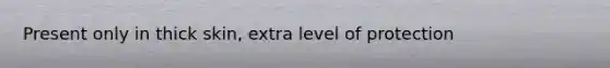 Present only in thick skin, extra level of protection