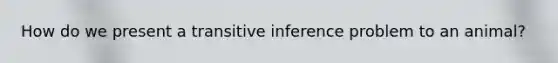 How do we present a transitive inference problem to an animal?