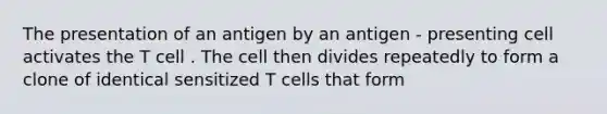 The presentation of an antigen by an antigen - presenting cell activates the T cell . The cell then divides repeatedly to form a clone of identical sensitized T cells that form