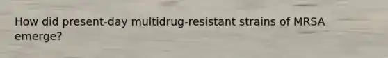 How did present-day multidrug-resistant strains of MRSA emerge?
