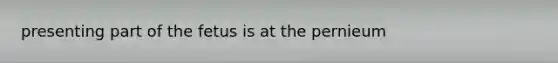 presenting part of the fetus is at the pernieum