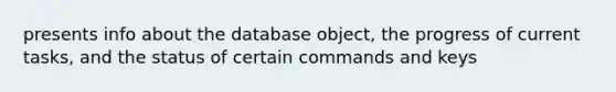 presents info about the database object, the progress of current tasks, and the status of certain commands and keys