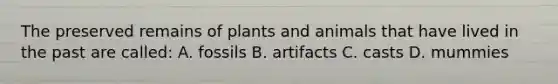 The preserved remains of plants and animals that have lived in the past are called: A. fossils B. artifacts C. casts D. mummies