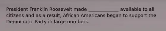 President Franklin Roosevelt made _____________ available to all citizens and as a result, African Americans began to support the Democratic Party in large numbers.