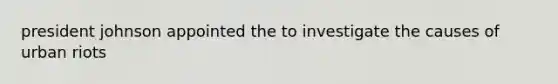 president johnson appointed the to investigate the causes of urban riots