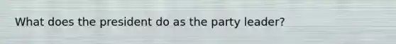 What does the president do as the party leader?