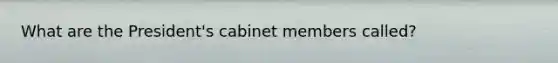 What are the President's cabinet members called?