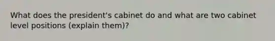 What does the president's cabinet do and what are two cabinet level positions (explain them)?