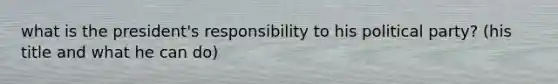 what is the president's responsibility to his political party? (his title and what he can do)