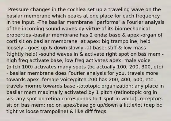 -Pressure changes in the cochlea set up a traveling wave on the basilar membrane which peaks at one place for each frequency in the input. -The basilar membrane "performs" a Fourier analysis of the incoming sound waves by virtue of its biomechanical properties -basilar membrane has 2 ends: base & apex -organ of corti sit on basilar membrane -at apex: big trampoline, held loosely - goes up & down slowly -at base: stiff & low mass (tightly held) -sound waves in & activate right spot on bas mem -high freq activate base, low freq activates apex -male voice (pitch 100) activates many spots (bc actually 100, 200, 300, etc) - basilar membrane does Fourier analysis for you, travels more towards apex -female voice/pitch 200 has 200, 400, 600, etc - travels momre towards base -tototopic organization: any place in basilar mem maximally activated by 1 pitch (retinotopic org in vis: any spot on retina corresponds to 1 spot in world) -receptors sit on bas mem; rec on apex/base go up/down a little/lot (dep bc tight vs loose trampoline) & like diff freqs