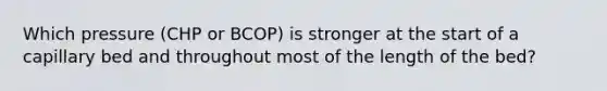 Which pressure (CHP or BCOP) is stronger at the start of a capillary bed and throughout most of the length of the bed?