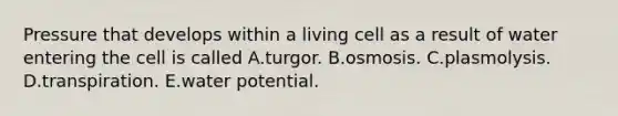 Pressure that develops within a living cell as a result of water entering the cell is called A.turgor. B.osmosis. C.plasmolysis. D.transpiration. E.water potential.