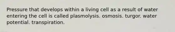 Pressure that develops within a living cell as a result of water entering the cell is called plasmolysis. osmosis. turgor. water potential. transpiration.